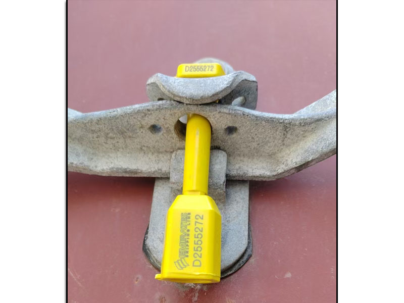 Customs lead seal